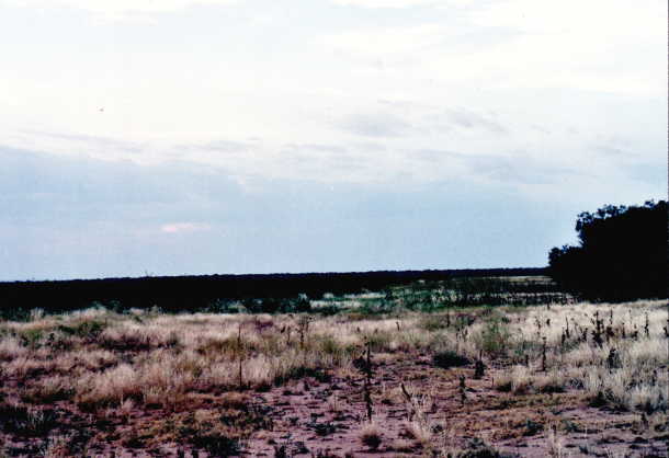 View northward from 33N,101W.