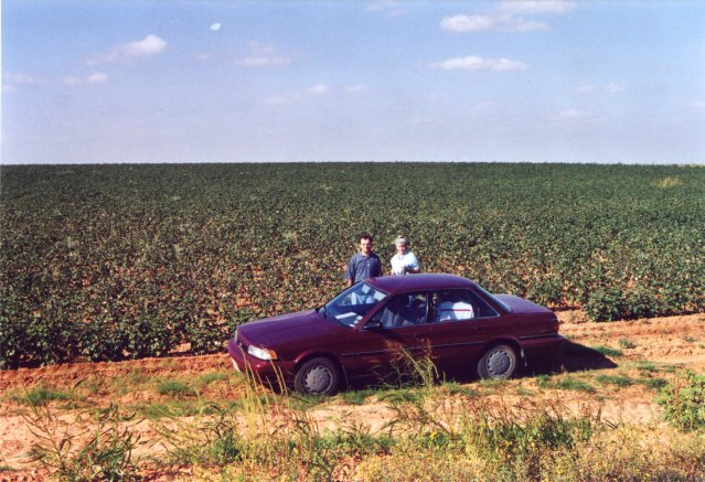 Sonya, Edward and cotton N of confluence.