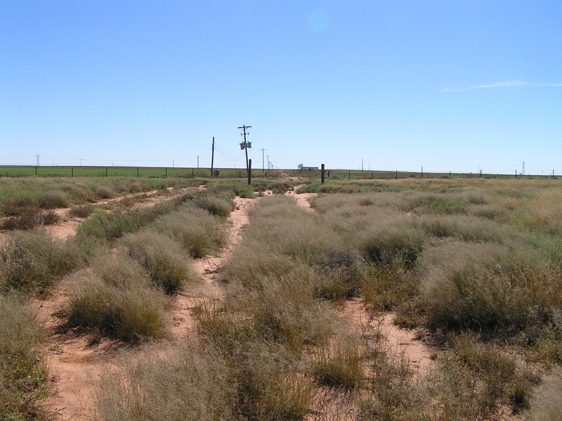 View to the south from the confluence.