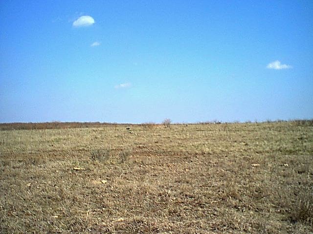 A confluence, in a field of mud...