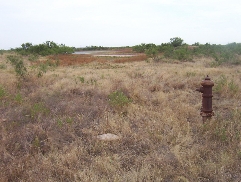 Hydrant and lake