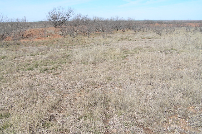 Site of 34 North 99 West, in the center foreground, looking northwest.