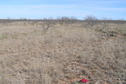 #3: View to the north from the confluence.