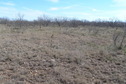 #5: View to the south from the confluence.