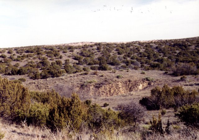 East view; gravel pit in foreground?