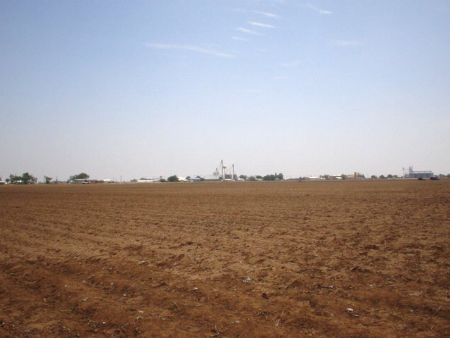 Looking southeast towards Cotton Center--the most scenic direction