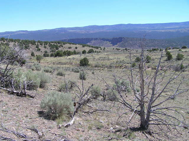 View to the northeast in beautiful central Utah from the confluence.