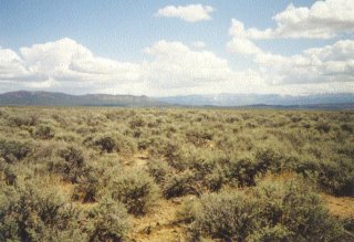 #1: Looking east towards the snow-capped peaks of the Dixie National Forest