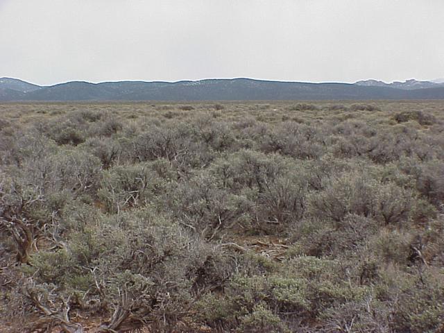 View to the east from the confluence site.