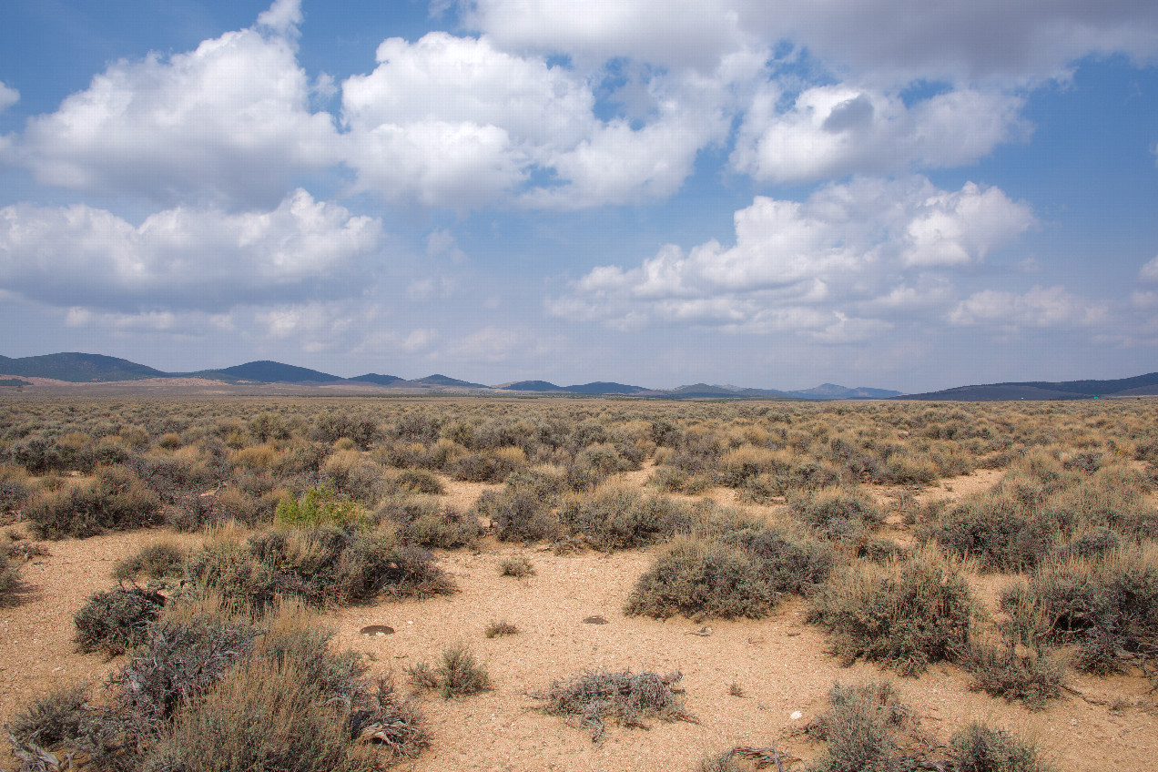 The confluence point lies in a flat expanse of sagebrush.  (This is also a view to the North, towards the Black Mountains.)