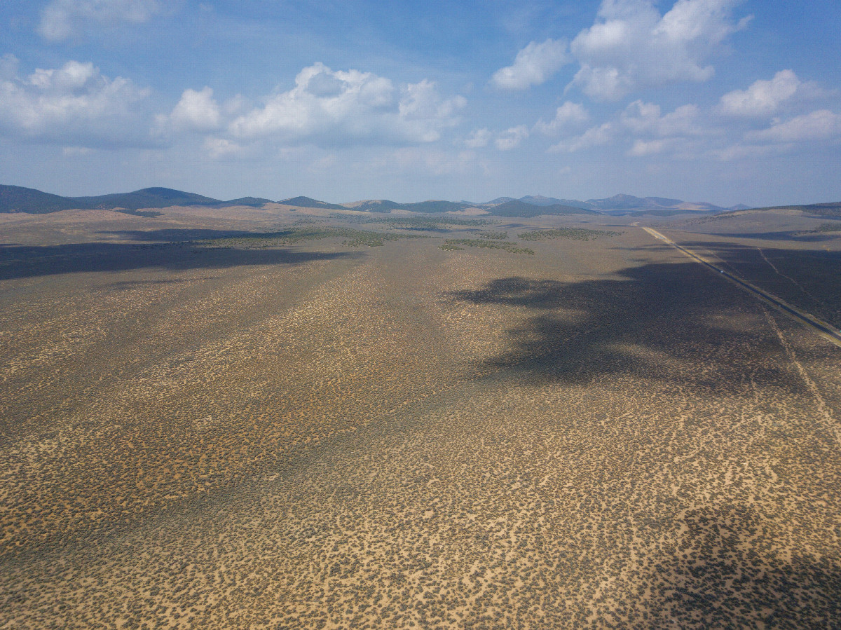 View North, from 120m above the point