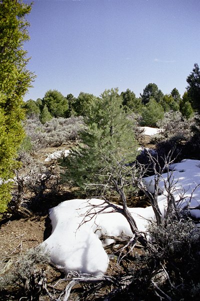 The confluence