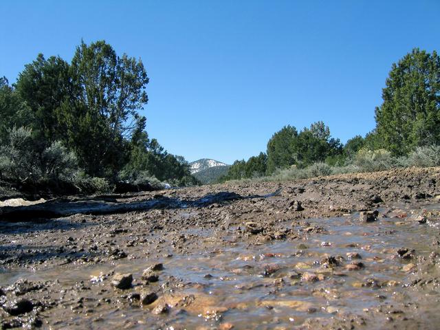 View west down the very muddy State Line Road