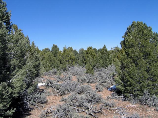 View north from the confluence