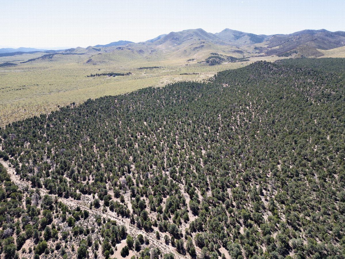 View South, from 120m above the point