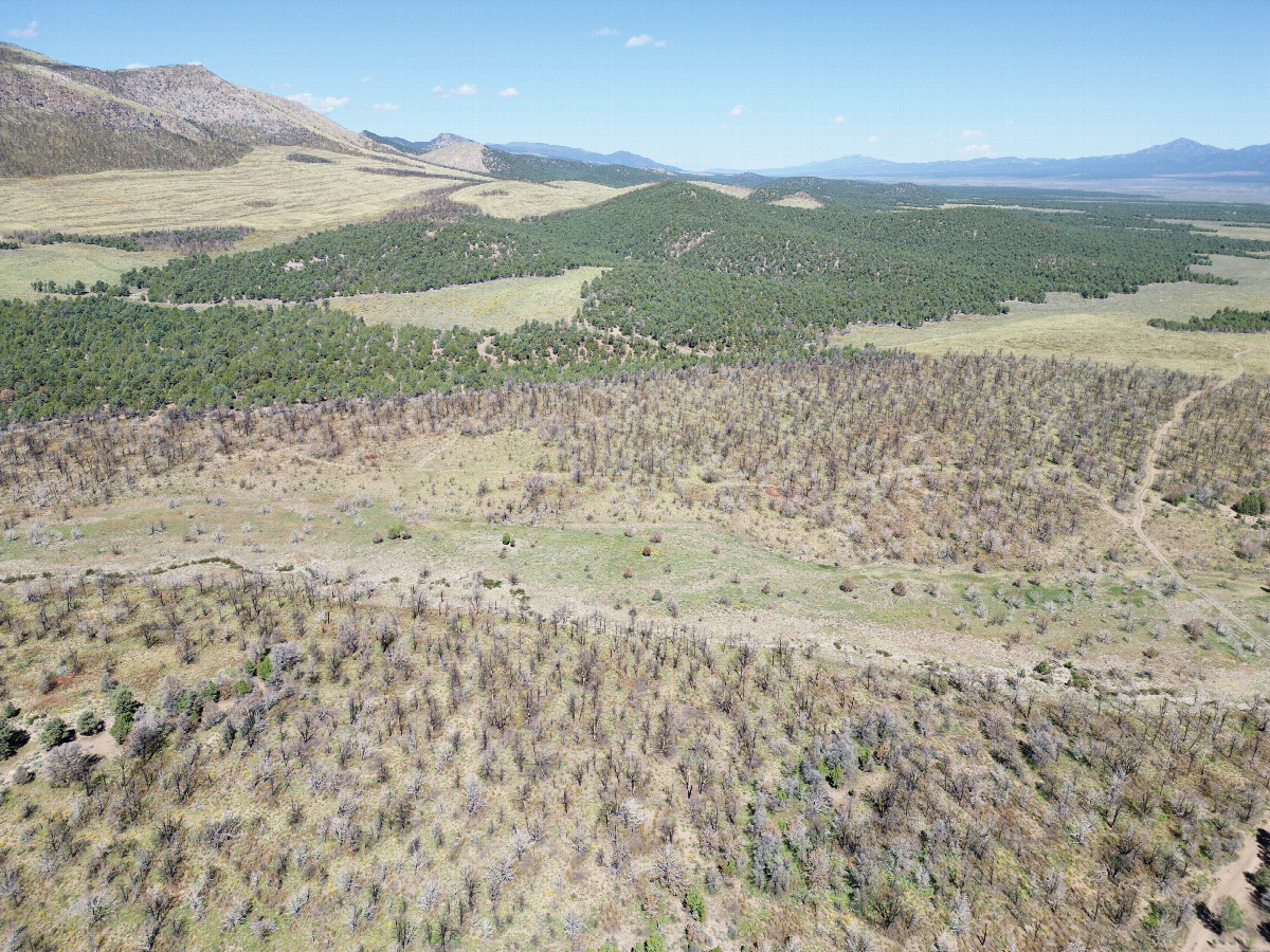 View North, from 120m above the point