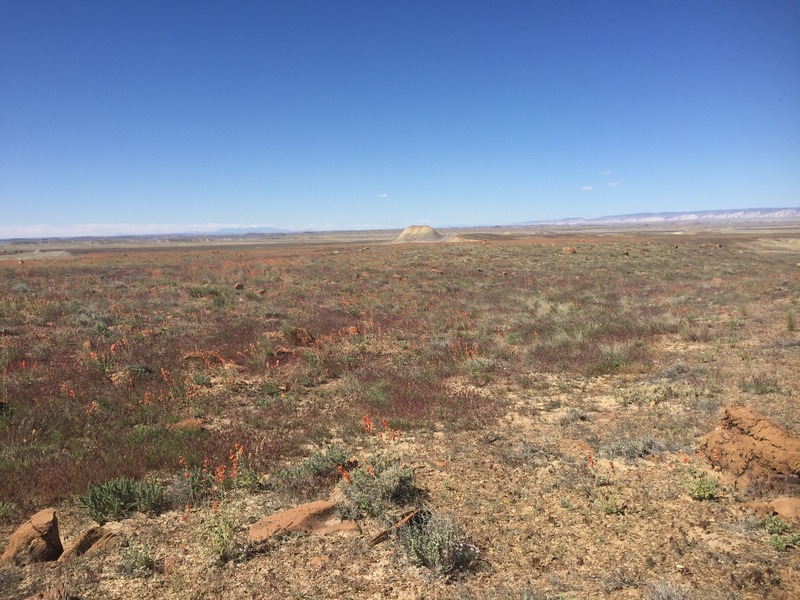 Big view to the south from the confluence.