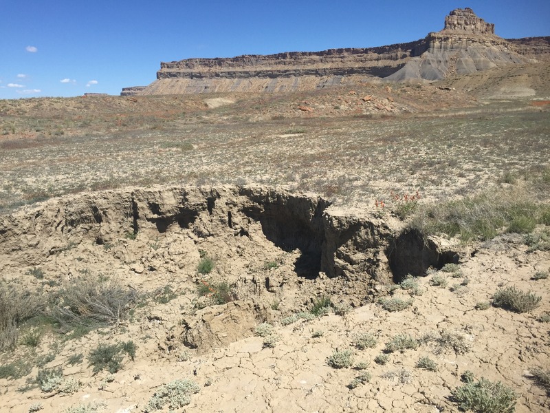 One of the several deep gullies encountered en route to the confluence.