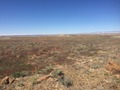 #5: Big view to the south from the confluence.