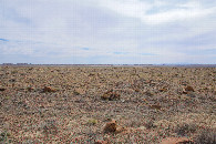 #3: View South