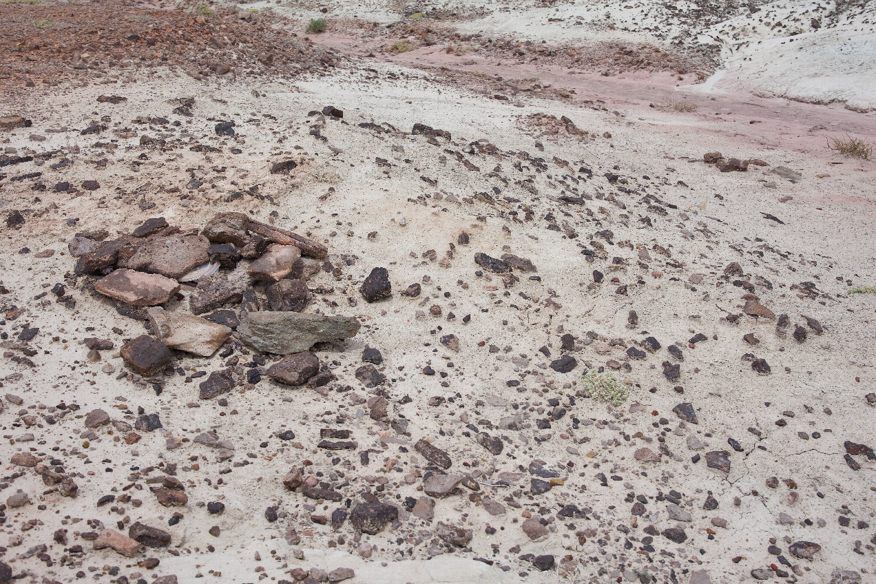 Ground cover at the confluence point