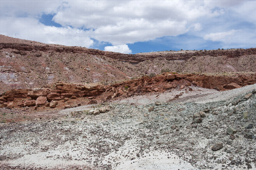 #1: The confluence point lies in a remote desert region.  (This is also a view to the North)