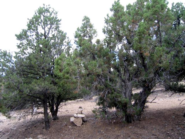 Cairn in general confluence area