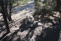 #6: Cairn.