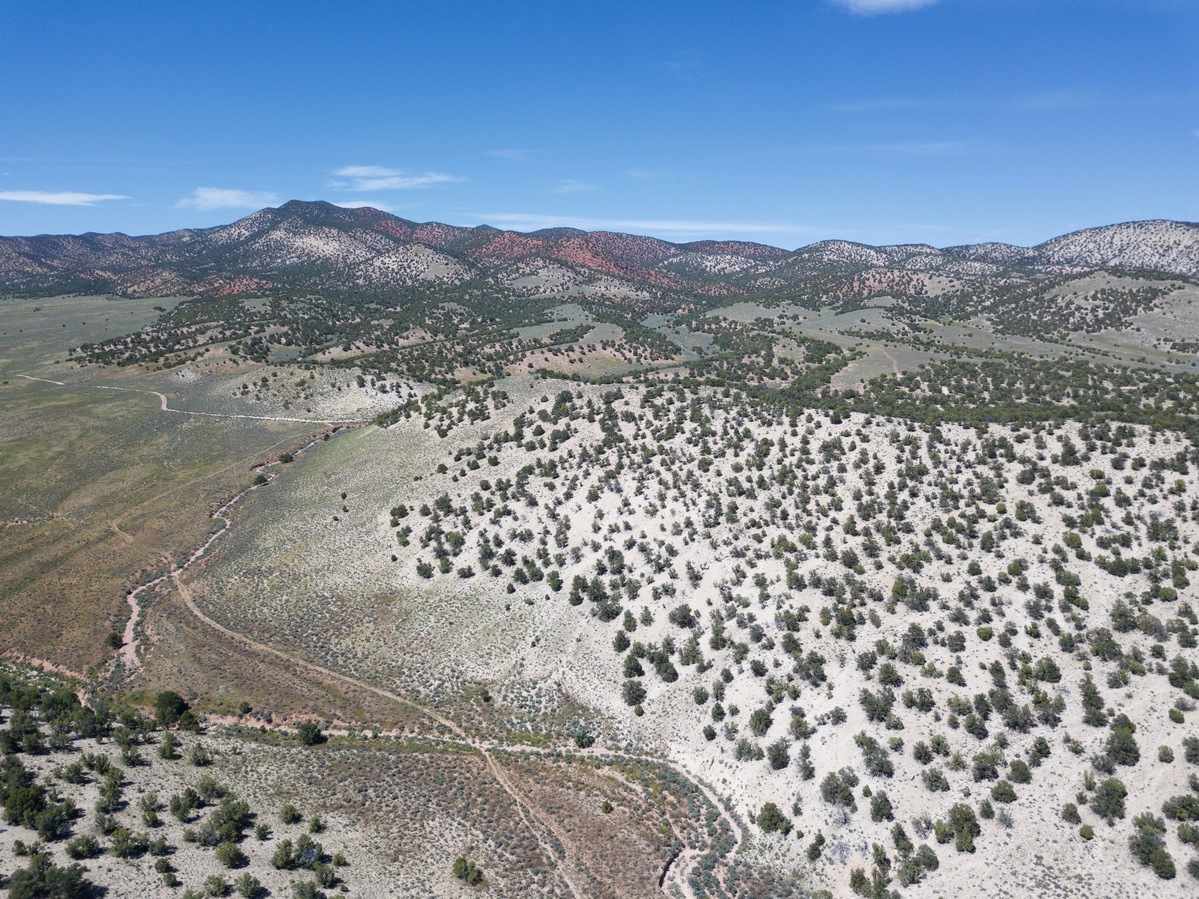 Looking North from 120m above the point