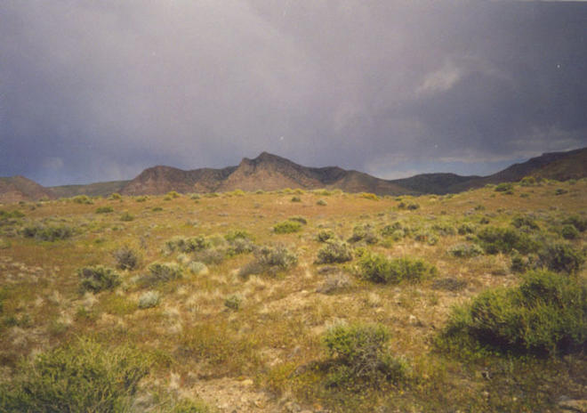 Looking east to the Cricket Mountains