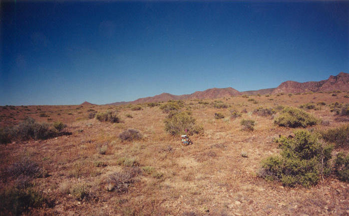 T. McGee Bear facing west with the tops of the Cricket Mountains in the brackground.