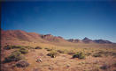 #3: Looking south at the Cricket Mountains.  T. McGee Bear is leaning against the rock cairn already in place when we arrived.