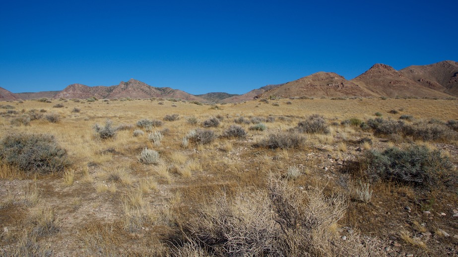 View East (towards the Cricket Mountains)