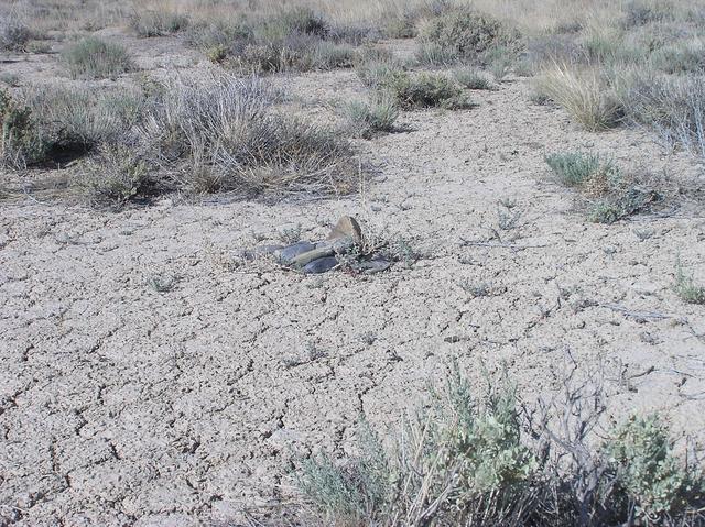 This small rock cairn marks the confluence point