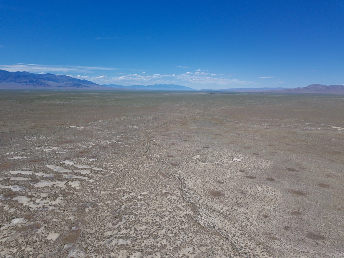 View North, from 120m above the point