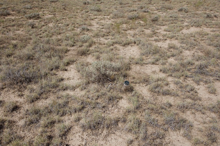 The confluence point lies on a flat and rather boring plain, filled with scrubby grass