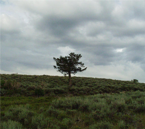 the mountain top above the confluence point