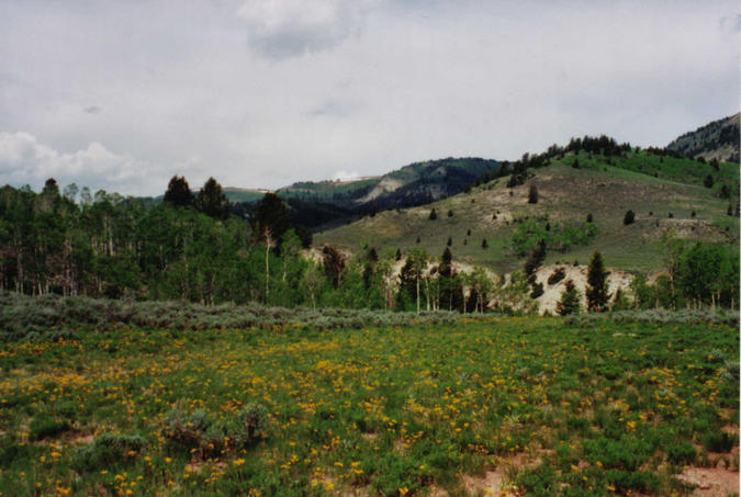 Still on Timber Canyon Road