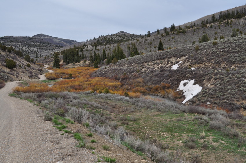 The South Fork of the White River, en route to the confluence point from Soldier Summit