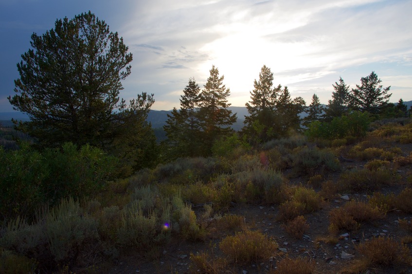 View West (into the late afternoon sun)