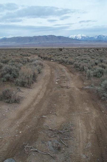 There's a road 80 feet from the confluence, if you have a pickup...