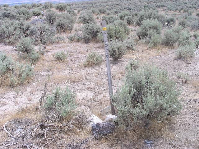 The confluence point seems to be marked by this stick