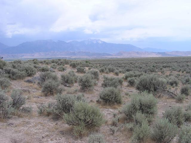 View East (Wasatch Mountains)