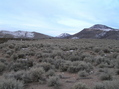 #3: View to the west from the confluence point.