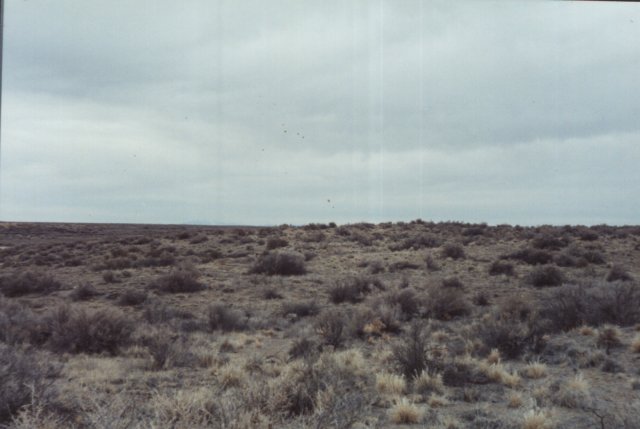 Looking east.  The Simpson Mountains are hidden behind the slight ridge.