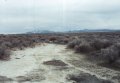 #6: Tracks headed south.  Not what you like to see after a 4-mile hike.