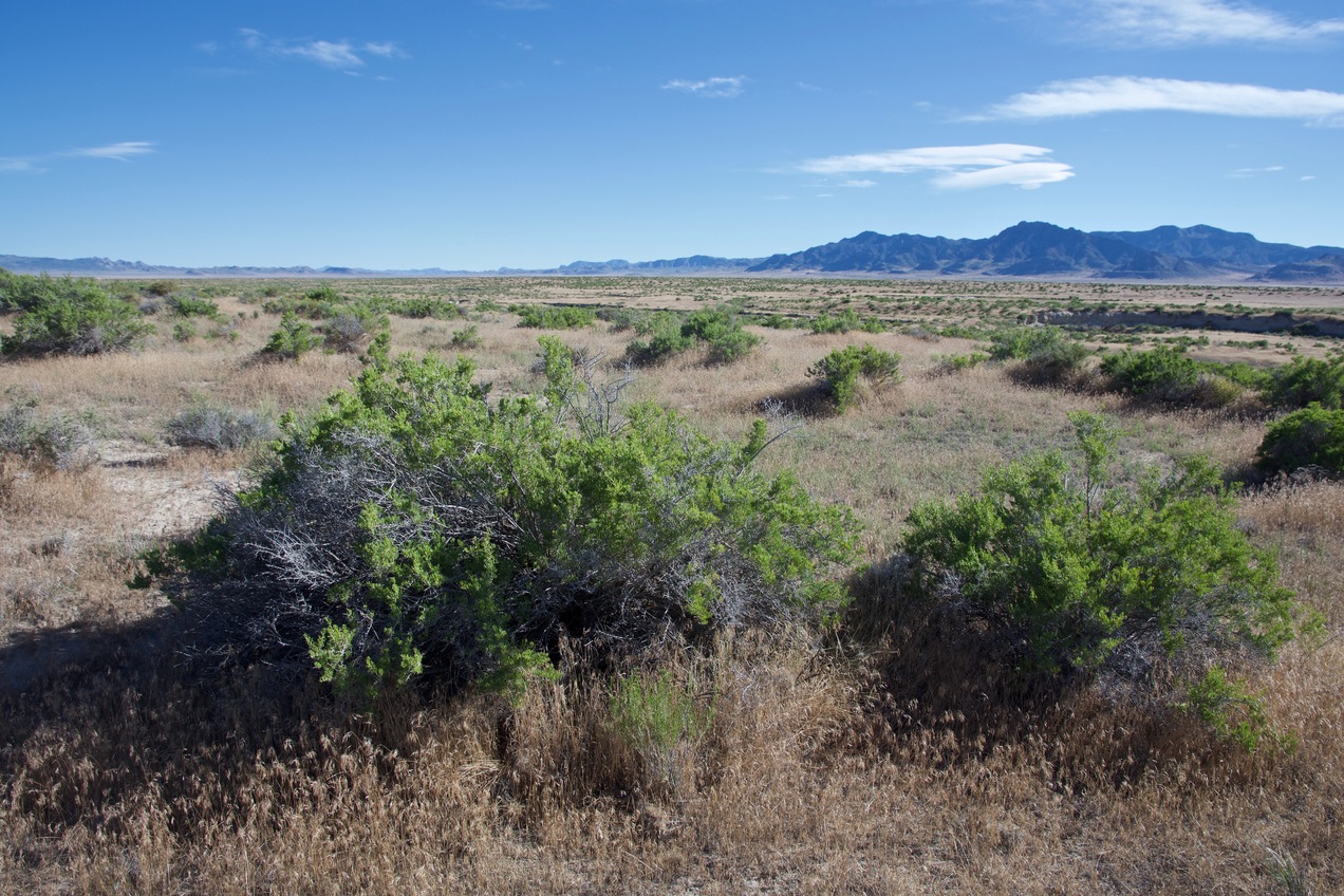 This confluence point lies in a remote desert region.  (This is also a view to the South, towards the Dugway Range.)