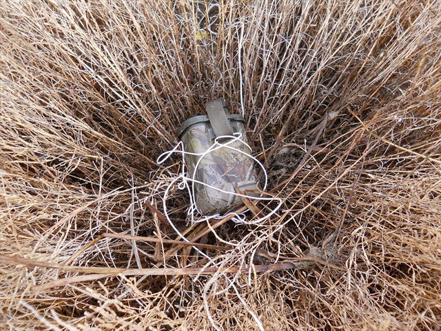 A geocache located a few feet away, at N 40 59.992 W 112 00.023