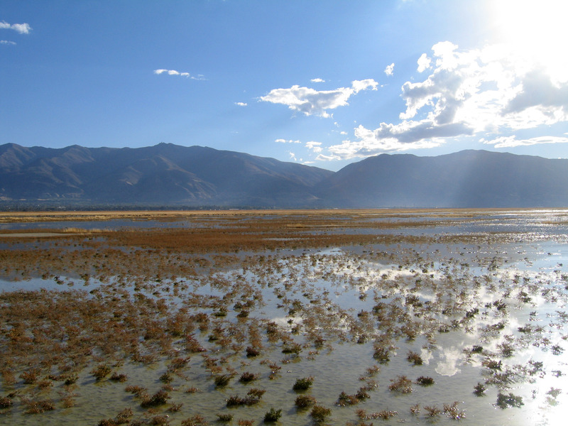 View East - duck hunters were in blinds at left center of image