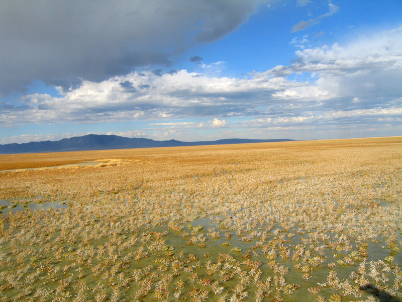 View West towards Antelope Island